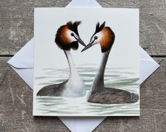 Great Crested Grebes bird greeting card - blank inside