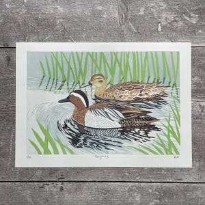 Garganey Ducks Linoldruck - handgefertigte, handgefertigte Wildtierkunst in limitierter Auflage