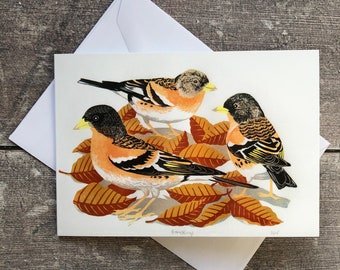 Brambling greeting card – blank inside | Garden bird card