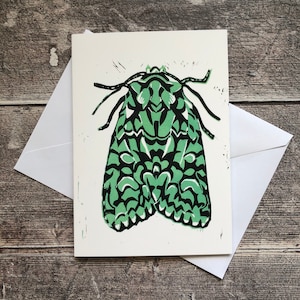 Merveille du Jour moth greeting card - blank inside