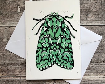 Merveille du Jour moth greeting card - blank inside