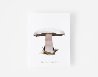 Meadow Mushroom - Mushroom Illustration Folded Greeting Card - Edible Mushrooms - Nature Enthusiast - Blank Just Because Card - Art Cards