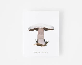 Mushroom Illustration Greeting Card - Nature Art Card