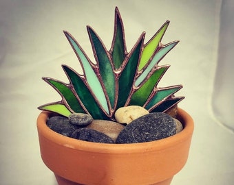 Stained Glass Agave Plant in 4inch Terra Cotta Pot with real river rocks.