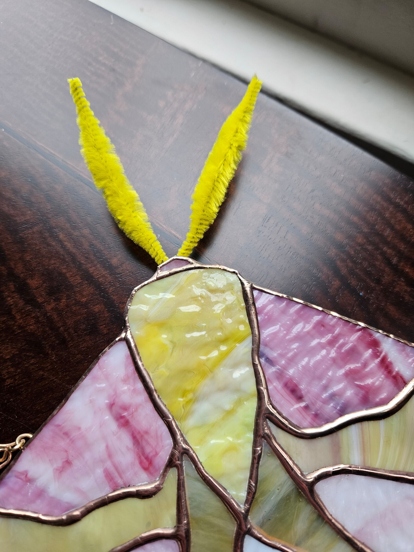 Stained Glass Rosy Maple Moth - Etsy