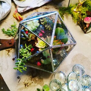 May include: A geometric glass terrarium filled with small plants and decorative red ladybugs. The terrarium is made of clear glass with silver accents and is shaped like a diamond.