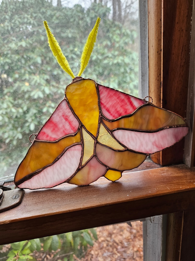 Stained Glass Rosy Maple Moth - Etsy