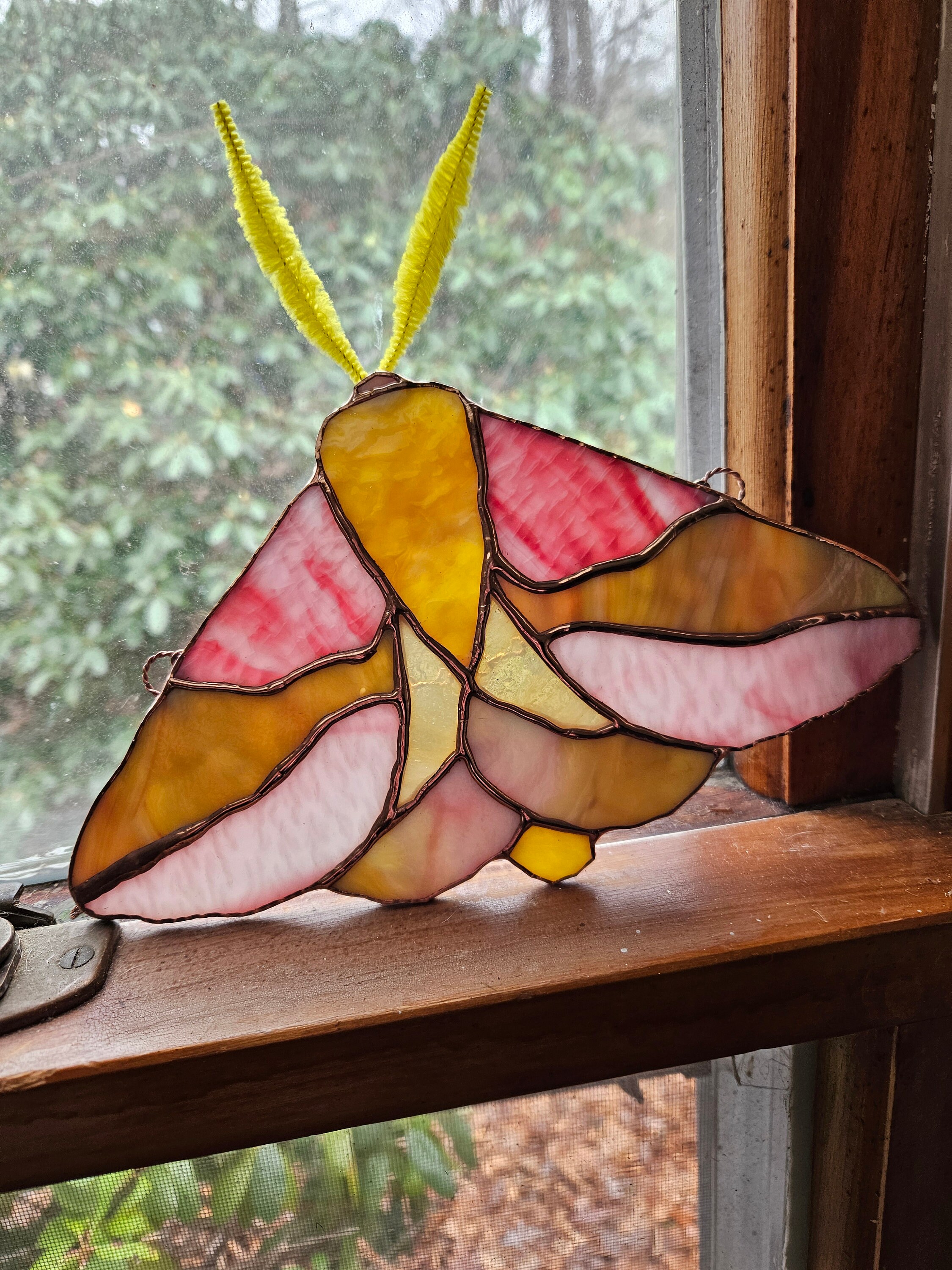 Stained Glass Rosy Maple Moth - Etsy