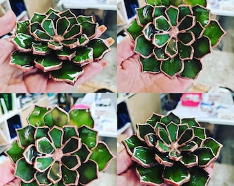 Stained Glass Eternal 3d Succulent