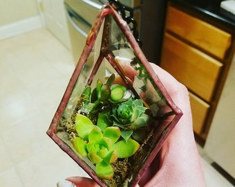 Hanging Bevel Prism with succulents