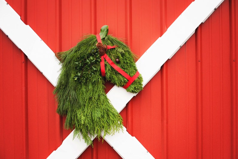 Real Pine & Cedar Horse Head Wreath Wreath for Equine Lovers Pine Cone horsehead door Ohio Buckeye Holly Handmade, fresh holiday wreath image 1