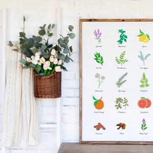 Essential Oils Print Oily Digital Download Natural Gallery Wall Flowers Plants