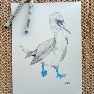 Blue Footed Booby Ink Dot Bird Illustration