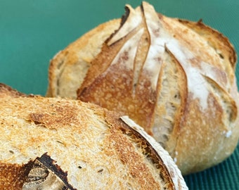 Recipe for Sourdough starter and bread - cooking instructions - directions for baking loaves of bread
