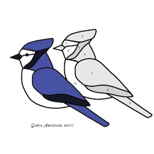 May include: A paint-by-number image of two blue jays. The bird on the left is blue and black, and the bird on the right is gray. The image is divided into numbered sections for coloring.