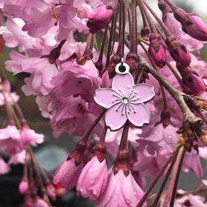 Cherry Blossom Earrings - Spring Flowers gift
