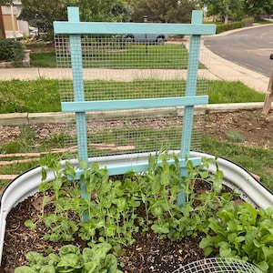 May include: A raised garden bed made from a galvanized metal tub with a light blue wooden trellis and wire mesh. The bed is planted with green pea plants and spinach.