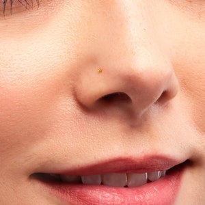May include: Close-up of a person's face with a small gold nose ring. The person has light skin, dark eyebrows, and is smiling.