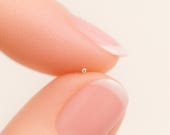 Artikel aus diesem Shop