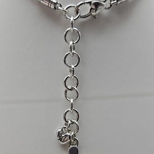 以下が含まれることがあります： シルバーカラーのネックレス、スネークチェーンのデザイン。ロブスタークラスプ留めと、ハート型のチャームと2つの丸いチャームが付いた調節可能なチェーンが特徴です。白い背景に展示されています。