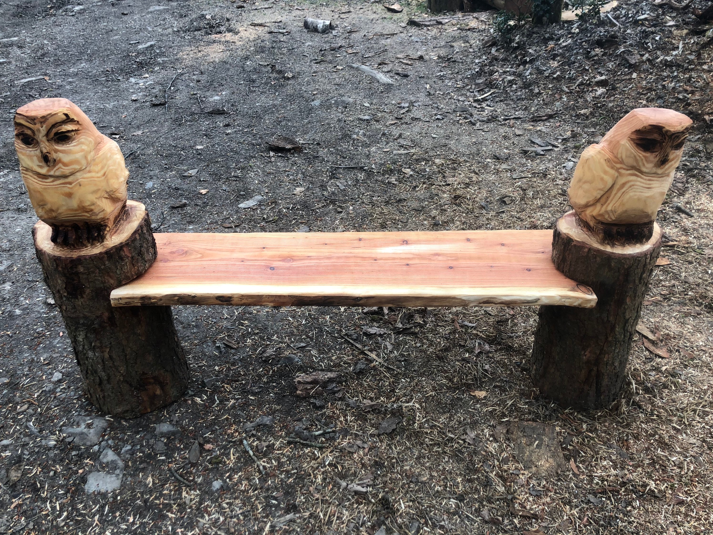 Chainsaw Carved Owl Bench - Etsy