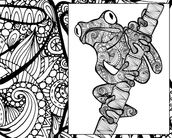 frog coloring sheet animal coloring pdf zentangle adult Etsy