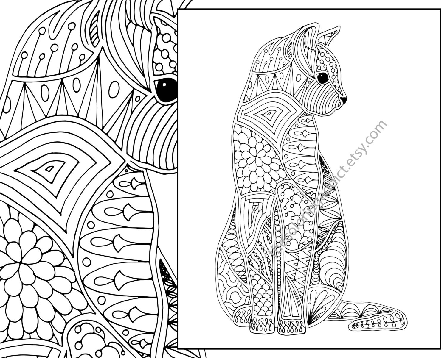cat coloring  page  advanced  coloring  page  adult  coloring  Etsy