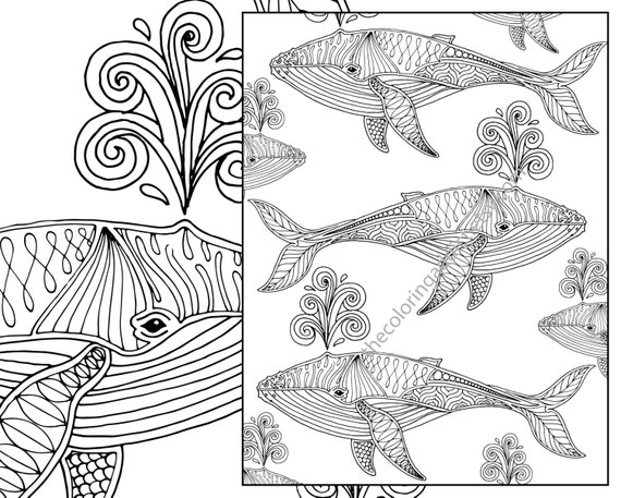 whale adult coloring page nautical adult coloring sheet
