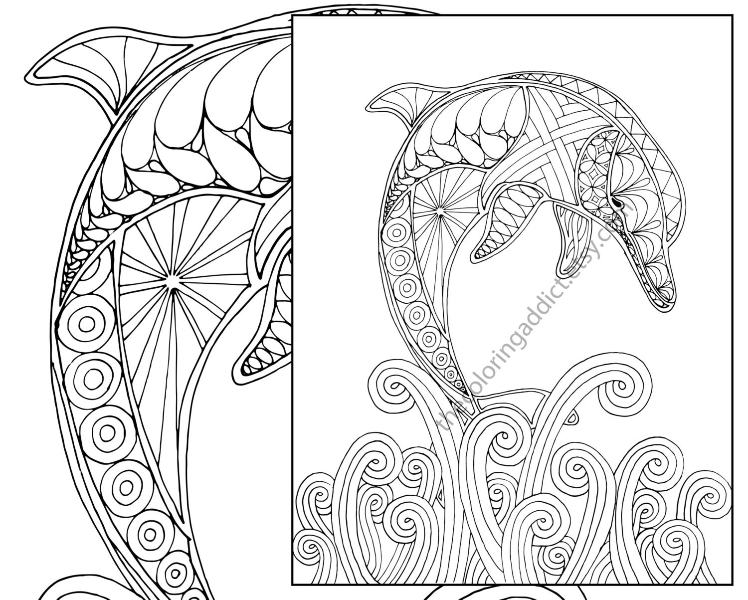 Dolphin Coloring Page Adult Sheet Nautical