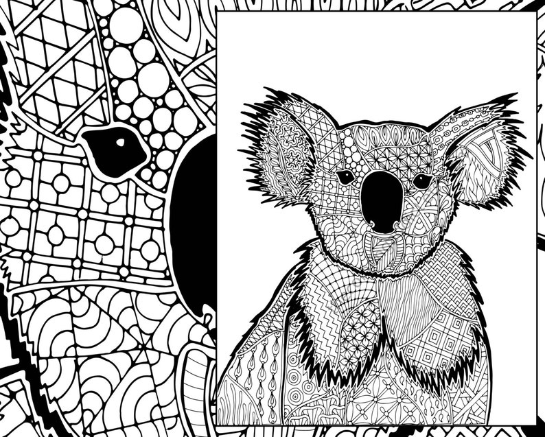 Download Koala Colouring In Picture
