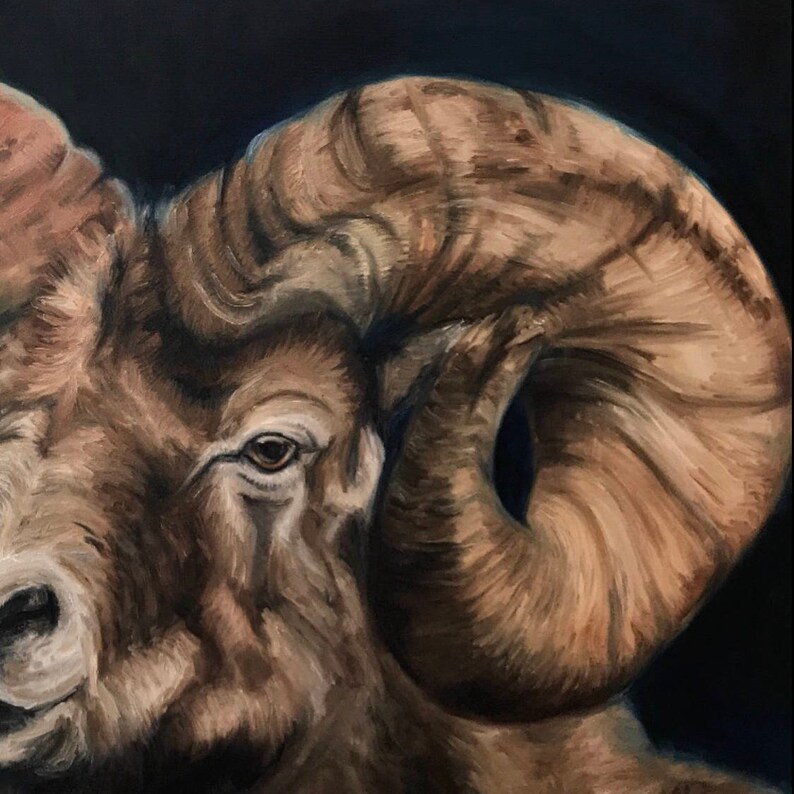 Ram Giclee Ink Print