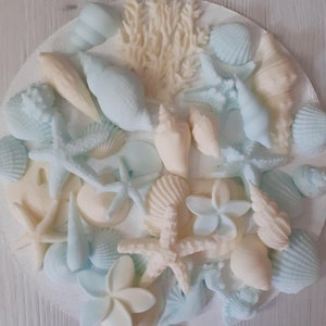 Könnte beinhalten: Eine Sammlung von weißen und hellblauen Kuchendekorationen in Form von Muscheln und Seesternen. Die Dekorationen sind auf einem weißen Hintergrund angeordnet.