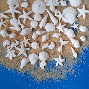 50 essbare Fondant Muscheln