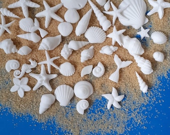50 coquillages fondants comestibles : décorations de gâteaux, thème océan