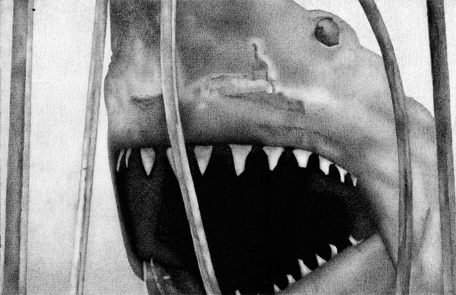 Jaws 11x17 Art Print | Etsy