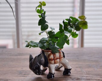 Occupied Japan Ceramic Donkey Planter