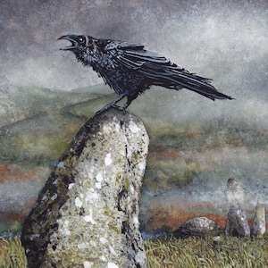 May include: A black raven perched on a large, moss-covered stone with a misty background. The raven is facing the left side of the image and has its beak open as if it is calling. The stone is surrounded by tall grass.