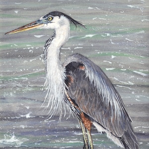 Tarjeta de felicitación descatalogada, "Gran garza azul" de Maggie Vandewalle, tarjeta en blanco de 5" x 7", sobre