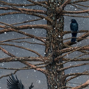 Biglietto d'auguri, "Corvus Corvidae e il cedro" di Maggie Vandewalle, biglietto vuoto 5" x 7", busta