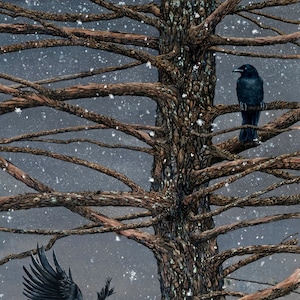 Greeting Card, "Corvus Corvidae and the Cedar" by Maggie Vandewalle, 5" x 7" blank card, envelope