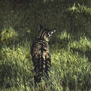 Carte de voeux « Tiger, Tiger » par Maggie Vandewalle, carte vierge de 5 x 7 pouces avec enveloppe