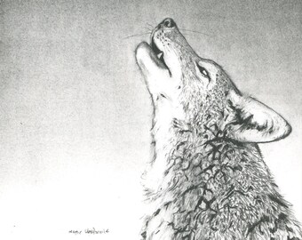 Original Graphite Drawing, Coyote and Moon