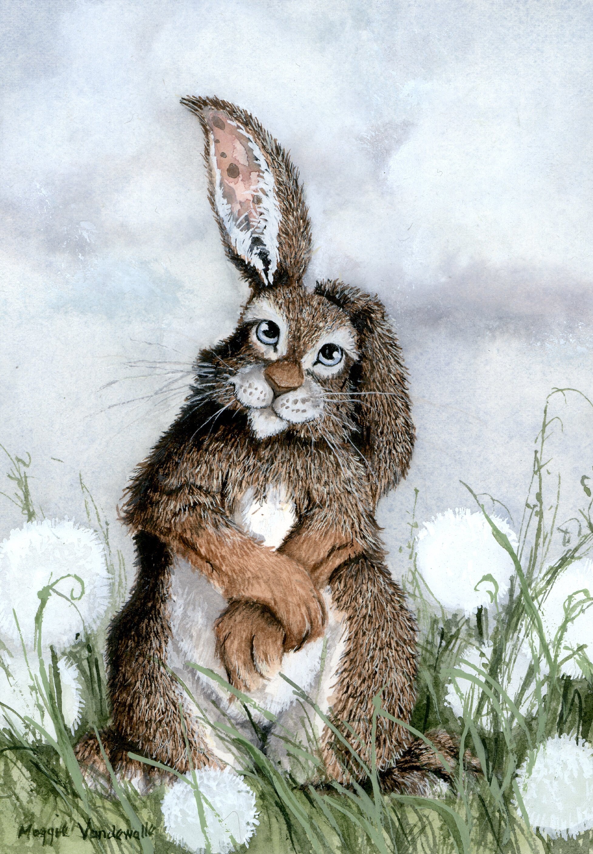 Зайцы много. Заяц картинка. Зайчик в лесу. Заяц белый. Заяц.