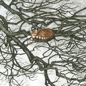 Cartão de felicitações, "Cat's Cradle" de Maggie Vandewalle, cartão em branco de 5" x 7", envelope