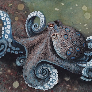Watercolor Print, "Strut", by Maggie Vandewalle, 8" x 10" matted to fit an 11" x 14' frame