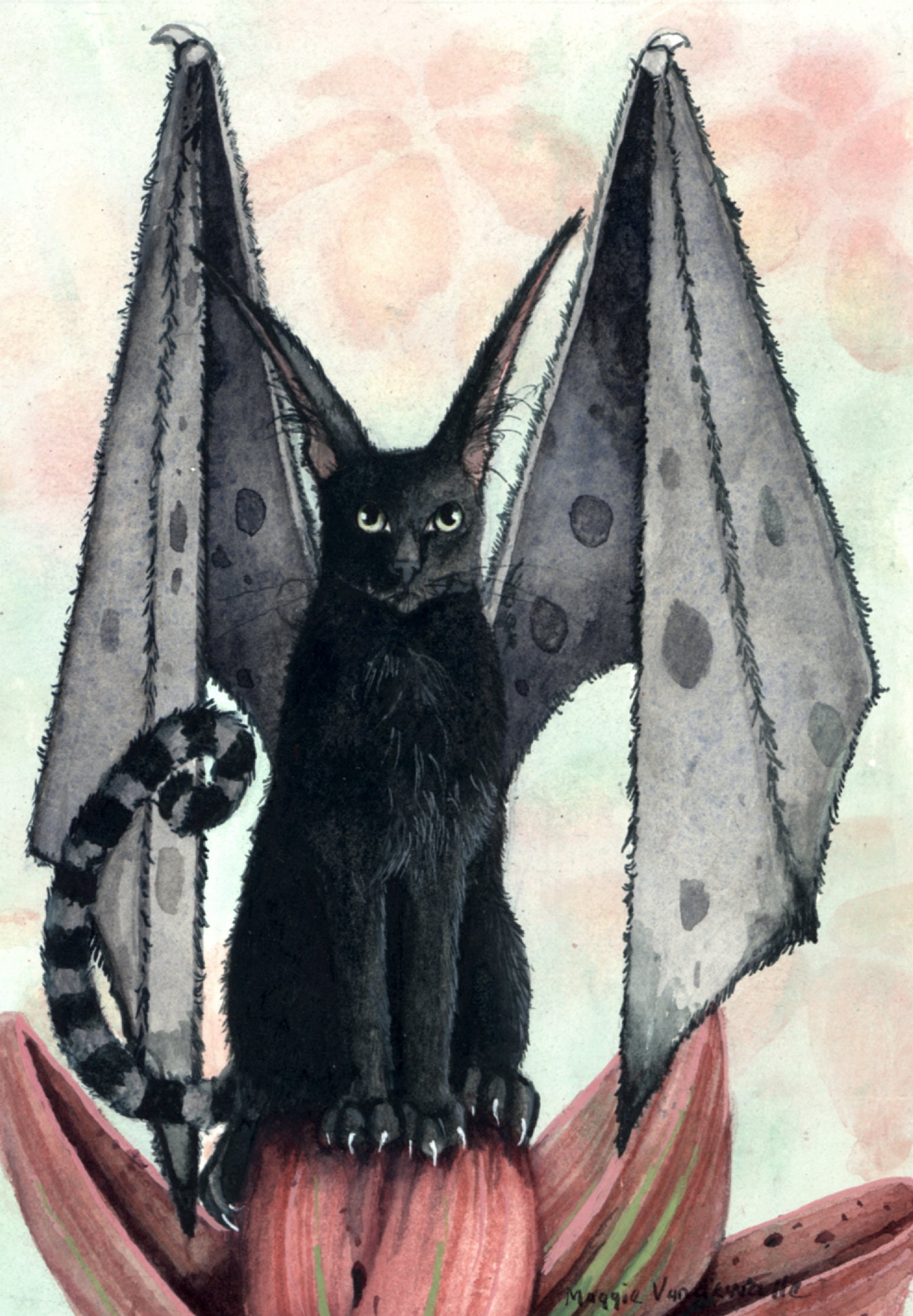 Летучая кошка