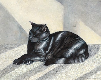 Könnte beinhalten: Eine schwarz-weiße Tabby-Katze liegt auf einer weißen, strukturierten Oberfläche. Die Katze hat die Augen geschlossen und schläft. Die Katze liegt in einer entspannten Position mit ausgestreckten Pfoten.