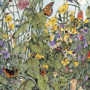 Tarjeta de felicitación, "En la maleza" de Maggie Vandewalle, tarjeta en blanco de 5" x 7", sobre