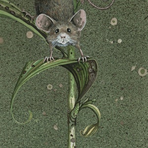 Biglietto di auguri, "The Climbdown" di Maggie Vandewalle, biglietto vuoto 5" x 7" con busta