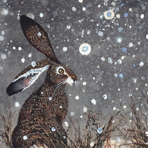 Biglietto di auguri, "The Quiet" di Maggie Vandewalle, biglietto vuoto 5" x 7", busta
